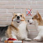 Cigarette plush dog toy