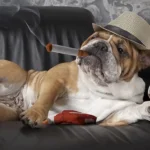 Cigarette plush toy for dogs