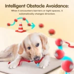 Smart interactive dog ball features