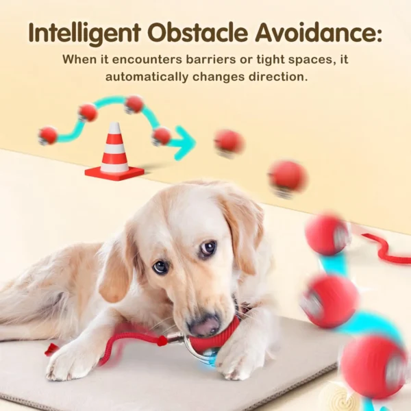 Smart interactive dog ball features