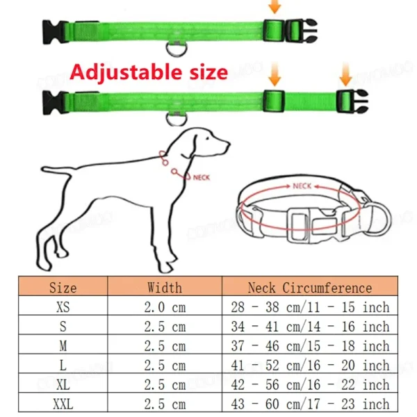 LED Dog Collar 5