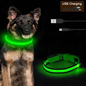 LED Dog Collar 1
