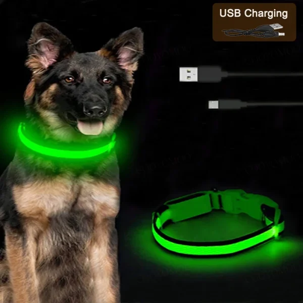 LED Dog Collar 1