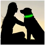 LED Dog Collar 4