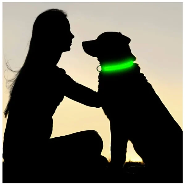 LED Dog Collar 4