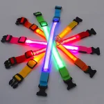LED Dog Collar 2