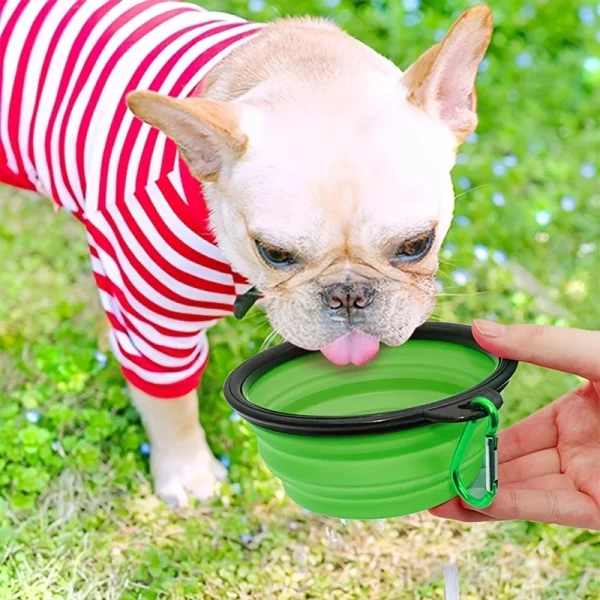 Collapsible Dog Travel Bowl 4